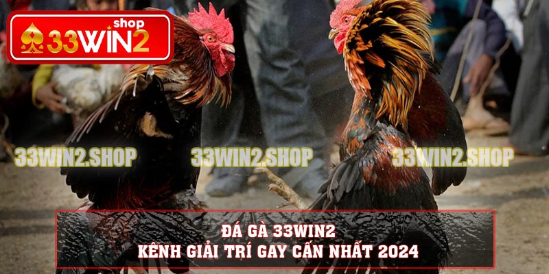 Đá Gà 33WIN2 – Kênh Giải Trí Gay Cấn Nhất 2024