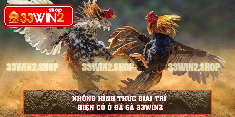 Những hình thức giải trí hiện có ở đá gà 33WIN2