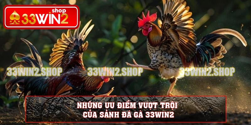 Những ưu điểm vượt trội của sảnh đá gà 33WIN2